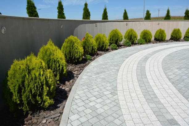 Best Brick Driveway Pavers  in Olton, TX